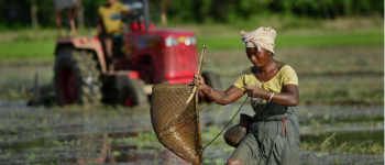Rights, Justice & Action for India’s Women Farmers