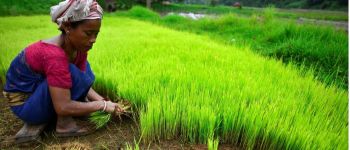Women Farmers in India: Structural Barriers & Gender-Inclusive Agriculture | UPSC Mains Model Answer | 12 March 2026